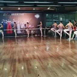 路老师成人舞蹈视频,轻松入门，舞动人生新篇章