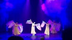 桃林成人舞蹈视频大全