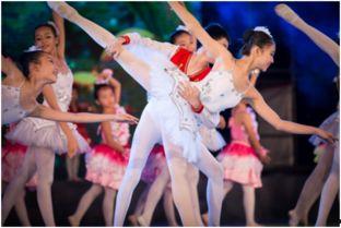 桃林成人舞蹈视频大全