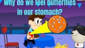 成人英语趣味教学视频,跟随视频轻松学英语