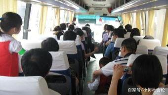 成人危险教育视频播放,视频播放中的关键知识点