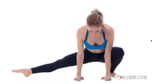 成人舒缓拉伸视频,尽享成人舒缓拉伸之旅