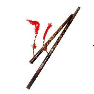 笛子成人玩具视频教程,轻松入门，享受音乐之美