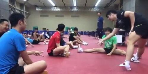 男成人热身韵律操视频,男性成人热身韵律操视频全解析