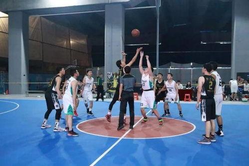 男成人热身韵律操视频,男性成人热身韵律操视频全解析