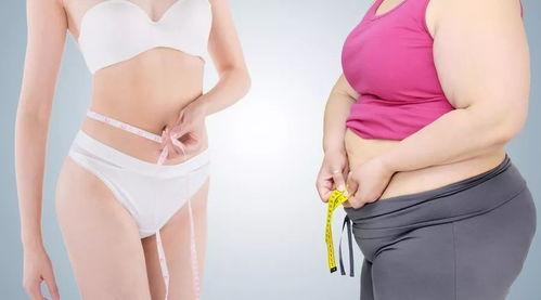 成人泰式腹部减压视频,泰式腹部按摩视频教程