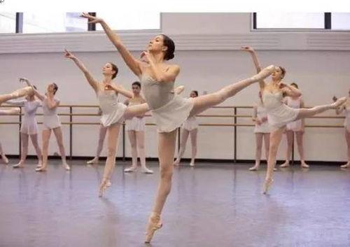 成人形体芭蕾拉伸视频,优雅塑形，轻松入门