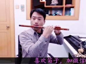 笛子成人演奏视频大全集,笛子成人演奏视频大全集精华回顾