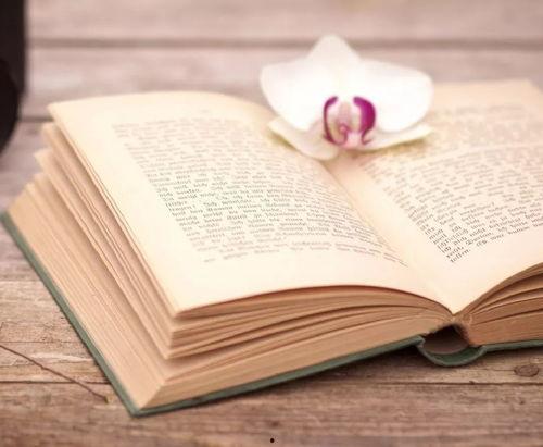 成人坐在地面看书好吗视频,成人健康阅读新选择