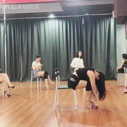 晨馨成人舞蹈视频大全教学,轻松入门，舞动人生
