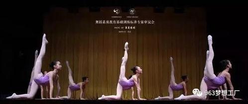 拾豆豆舞蹈视频成人教学,成人舞蹈教学新体验